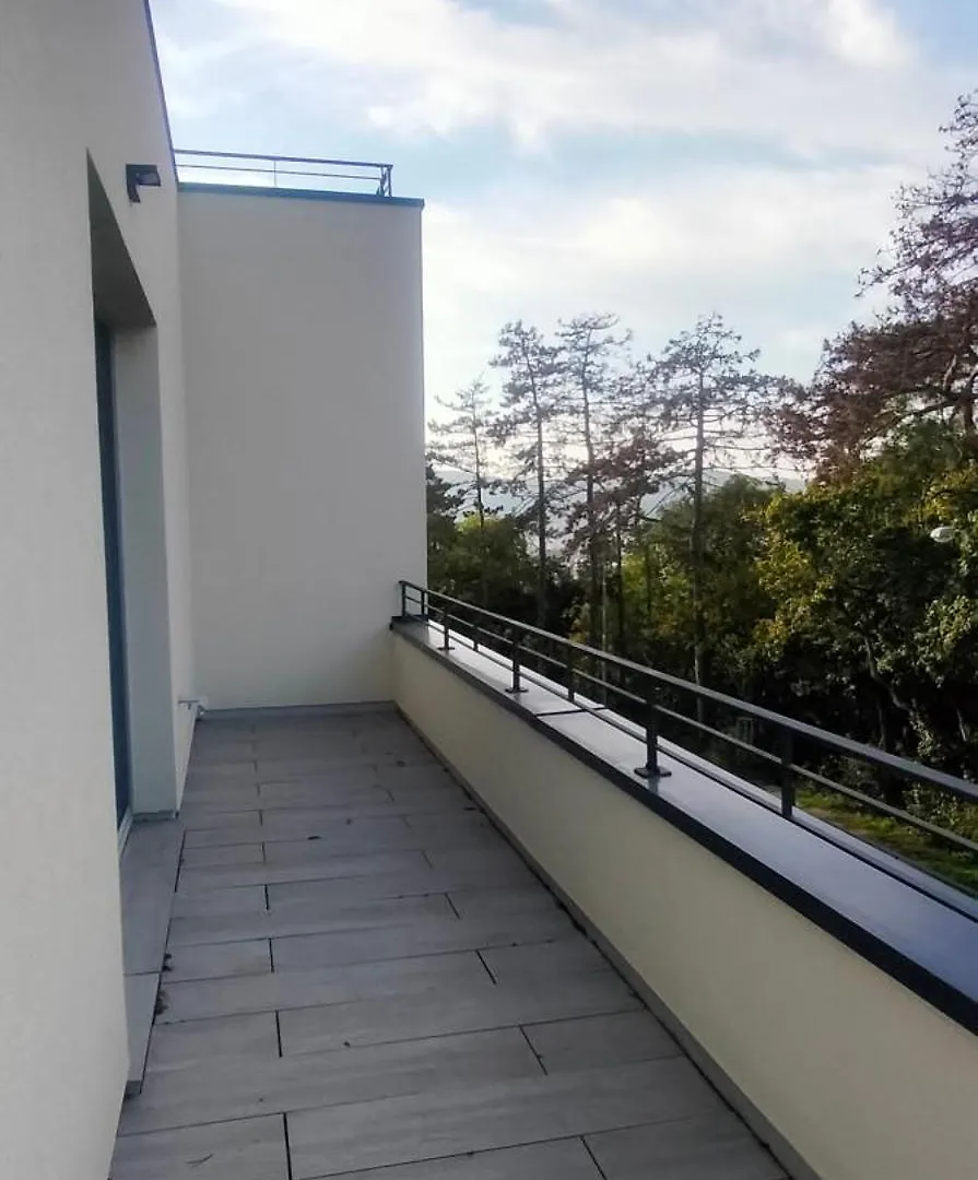 ברנו Apartman S Terasou Nad Rosnickou דירה